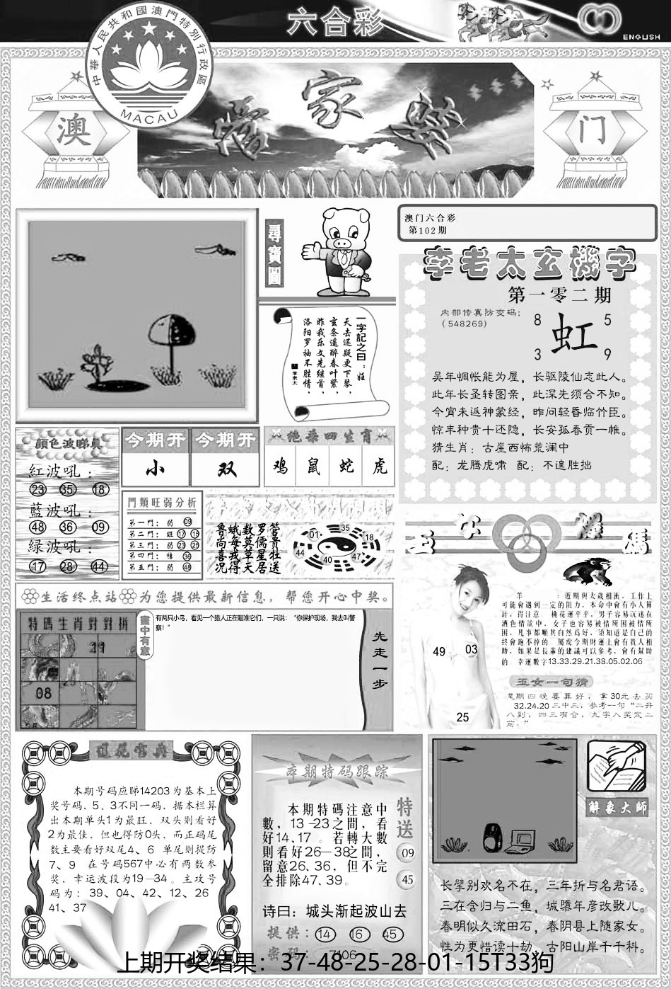 图片加载中