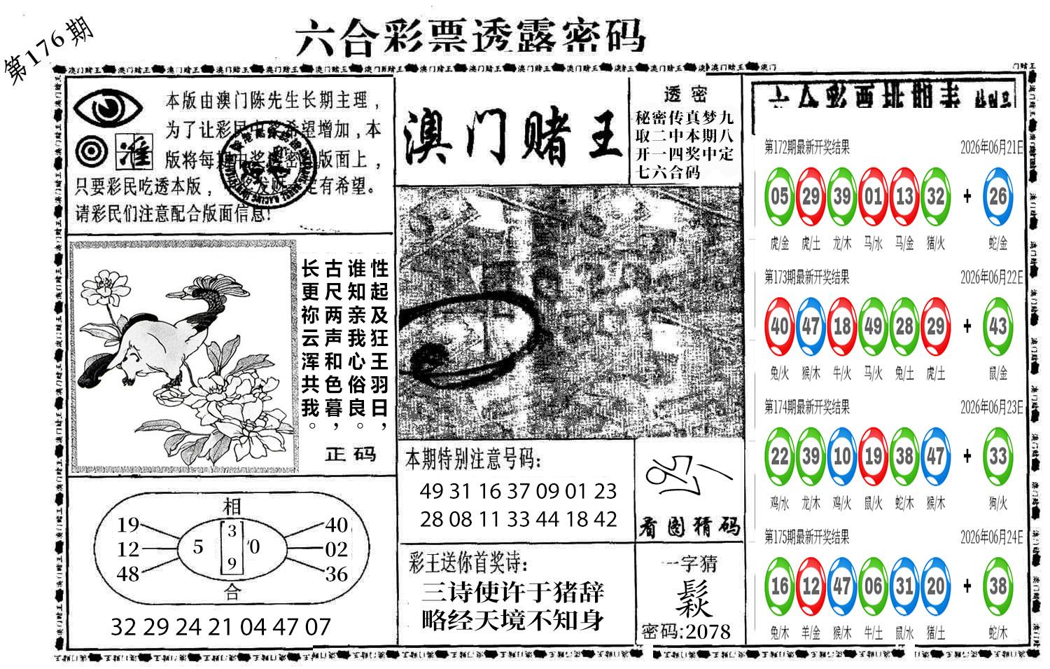 图片加载中