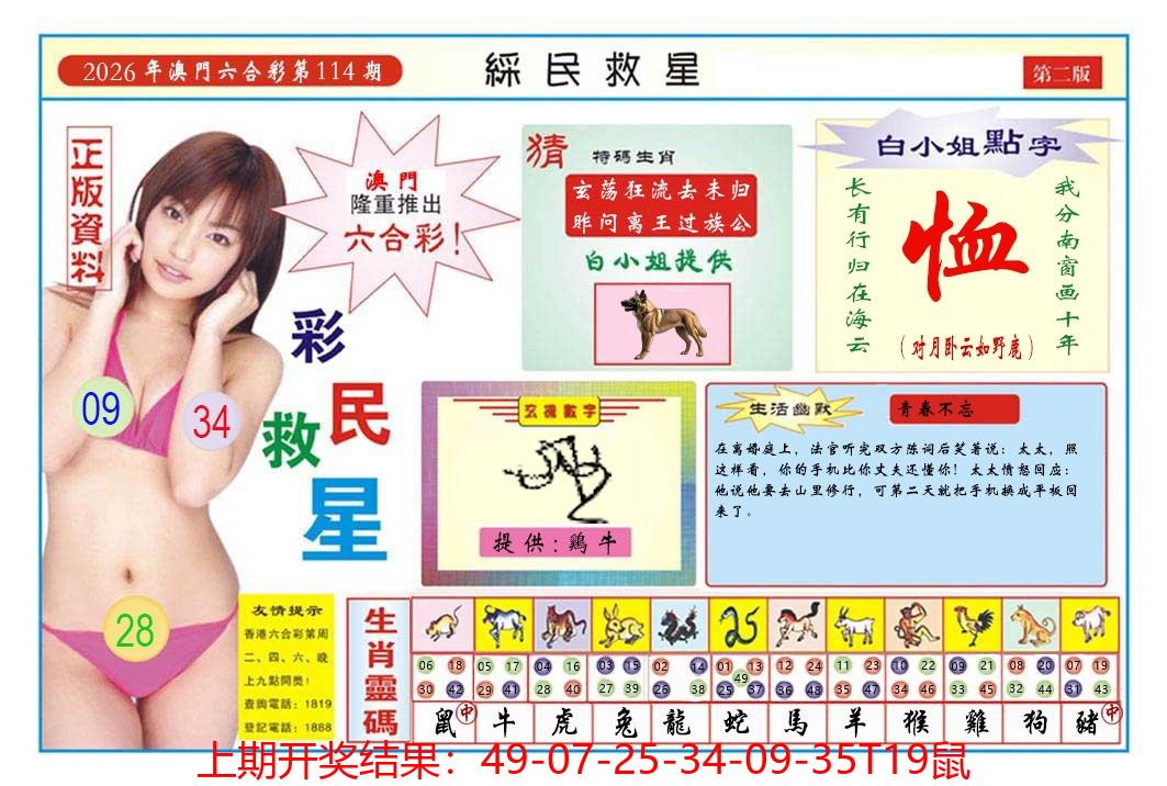 图片加载中