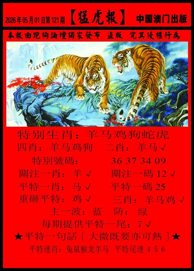 图片加载中