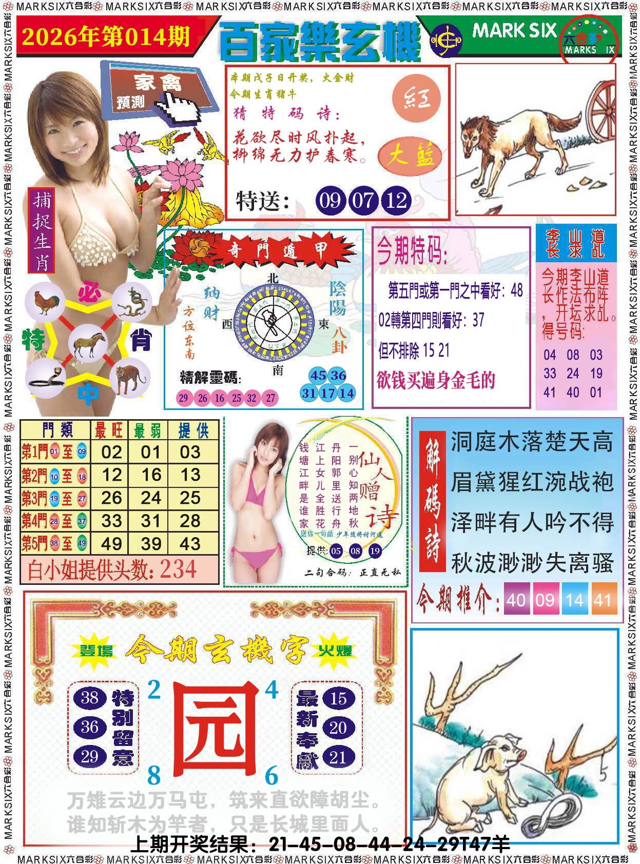 图片加载中